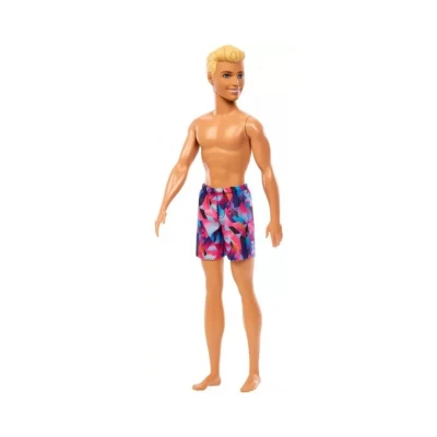 Boneco Da Barbie Ken Fashion Na Praia Mattel Hxx52