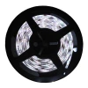 Fita De Led 2,5W 0 Leds/M 5M 12V Com Fonte Autovolt Novo Fita De Led 2,5W 0 Leds/M 5M 12V Com Fonte Autovolt Novo