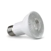 Lâmpada De Led Par20 E27 8E 6500K Bivolt Blumenau Novo