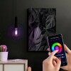 Lampada Smart Filamento Wifi 6W RGB G95 Taschibra