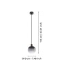 Pendente Oilella Moderno 1x E27 Ip20 Vidro Preto 220V Eglo