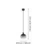 Pendente Oilella Moderno 1x E27 Ip20 Vidro Preto 220V Eglo