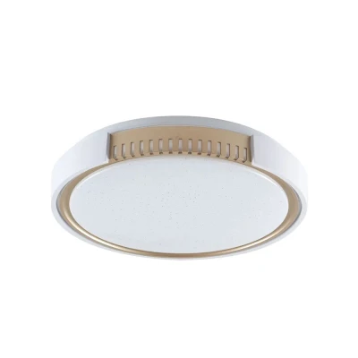 Plafon LED Young Redondo Sobrepor 24W Cor da luz Controlável