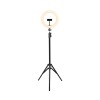 Ring Light 46Cm 18 Polegadas Com Tripé 2,1 ViniK Novo